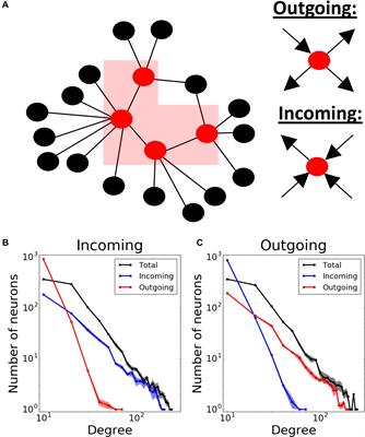 Synaptic Failure Differentially Affects Pattern Formation in Heterogenous Networks